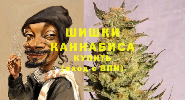 винт Гусев