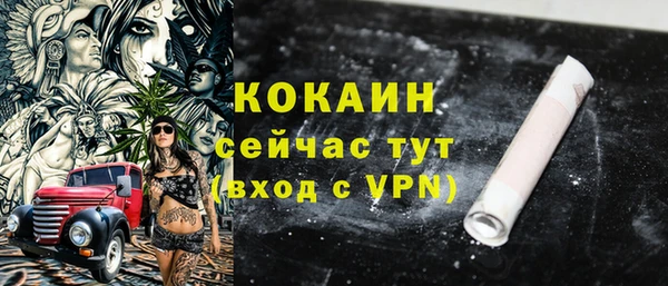 винт Гусев